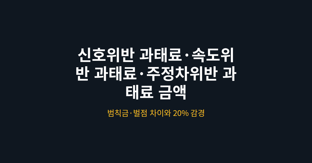 신호위반 과태료&middot;속도위반 과태료&middot;주정차위반 과태료 금액 &middot; 범칙금&middot;벌점 차이와 20% 감경