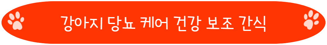 강아지 당뇨 케어 건강 보조 간식