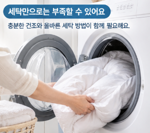 침구에서 꿉꿉한 냄새가 나는 이유, 세탁만으로 해결되지 않는 경우