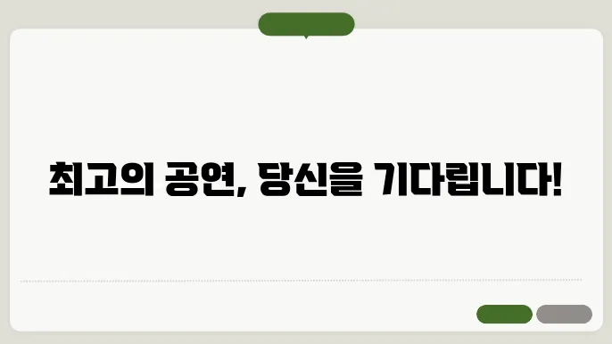 공연 정보