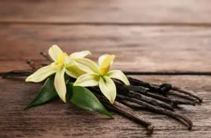 향신료의 여왕, 바닐라