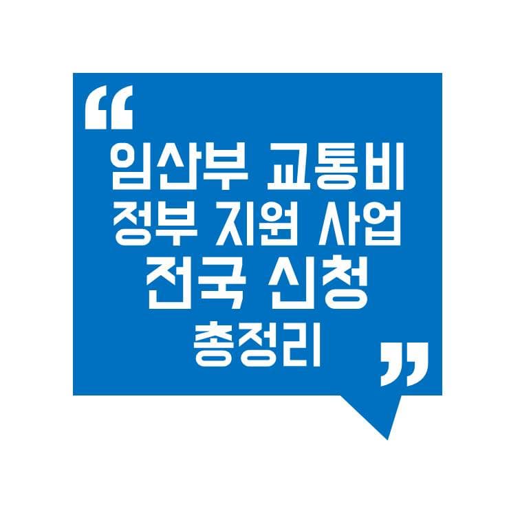 정부 지원 사업 '임산부 교통비 지원' 전국 지역별 신청 방법 총정리