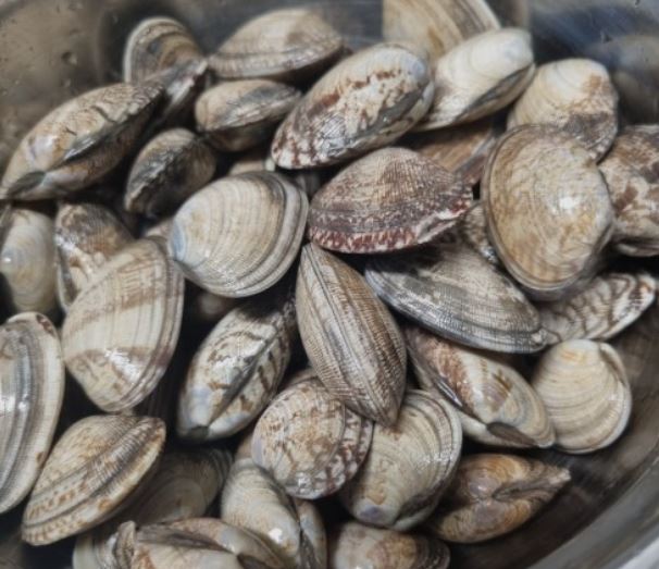 요즘 제철 음식