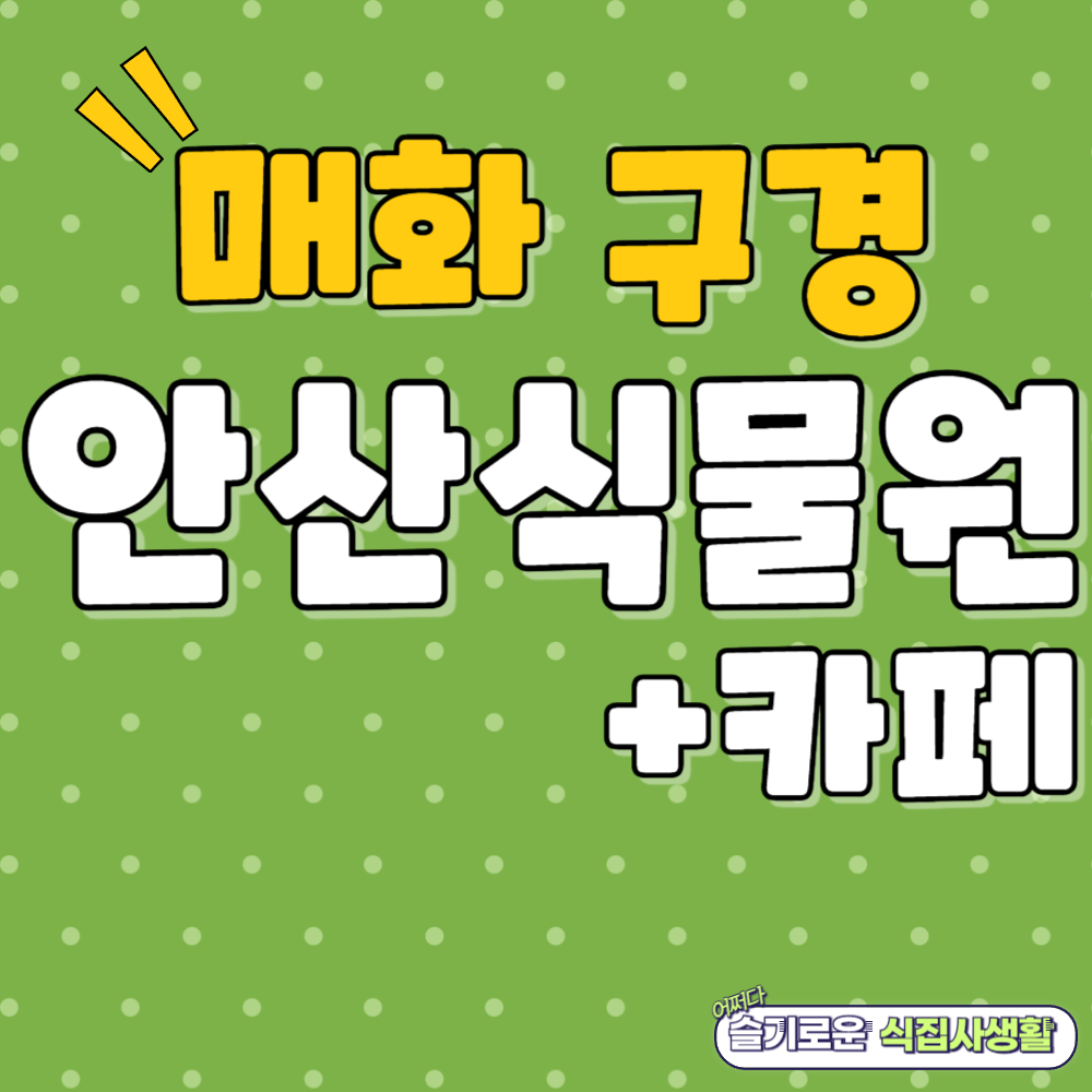 안산 식물원 매화, 카페 정보