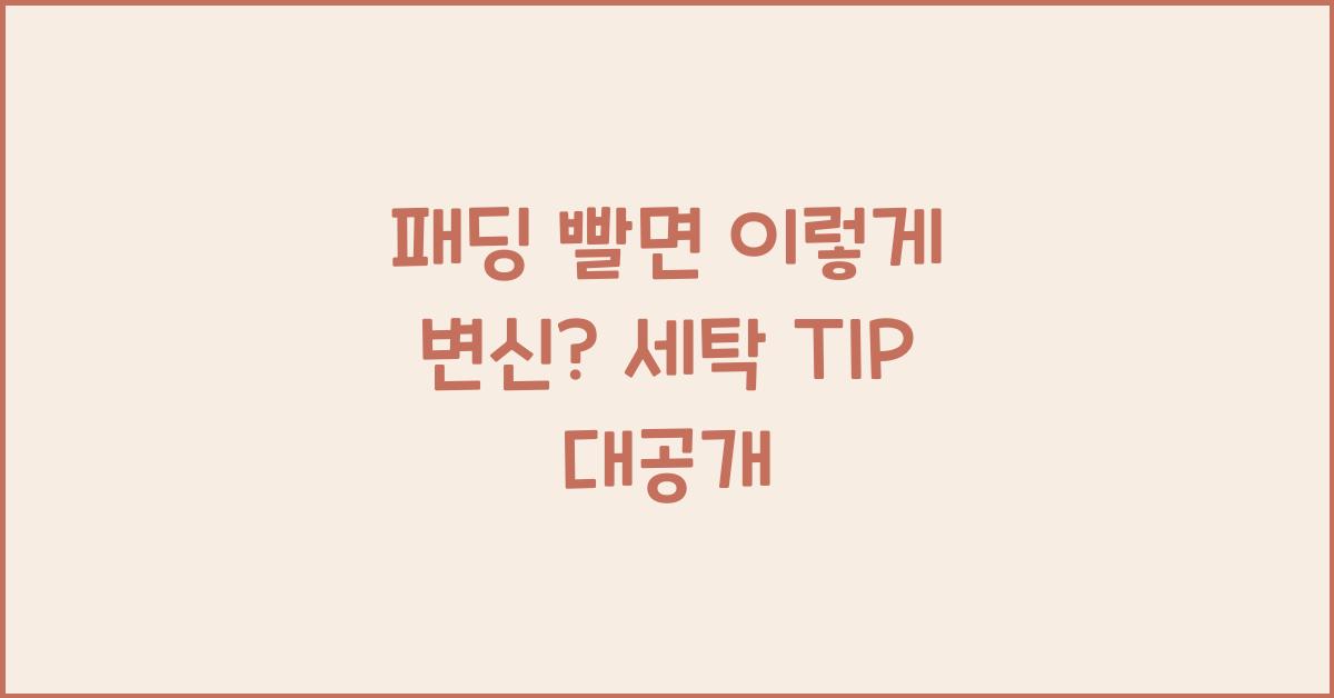 패딩 빨면