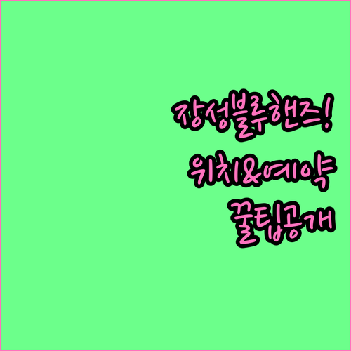 장성군 현대자동차 블루핸즈 위치 및 ..