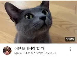 89만 유튜버 유튜브 채널 다나나 영상