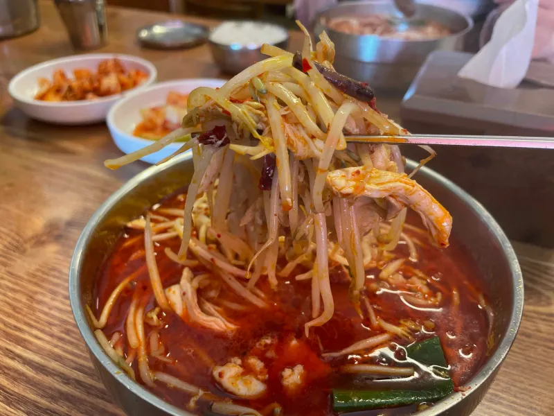 닭개장을 젓가락으로 떠 올린 모습