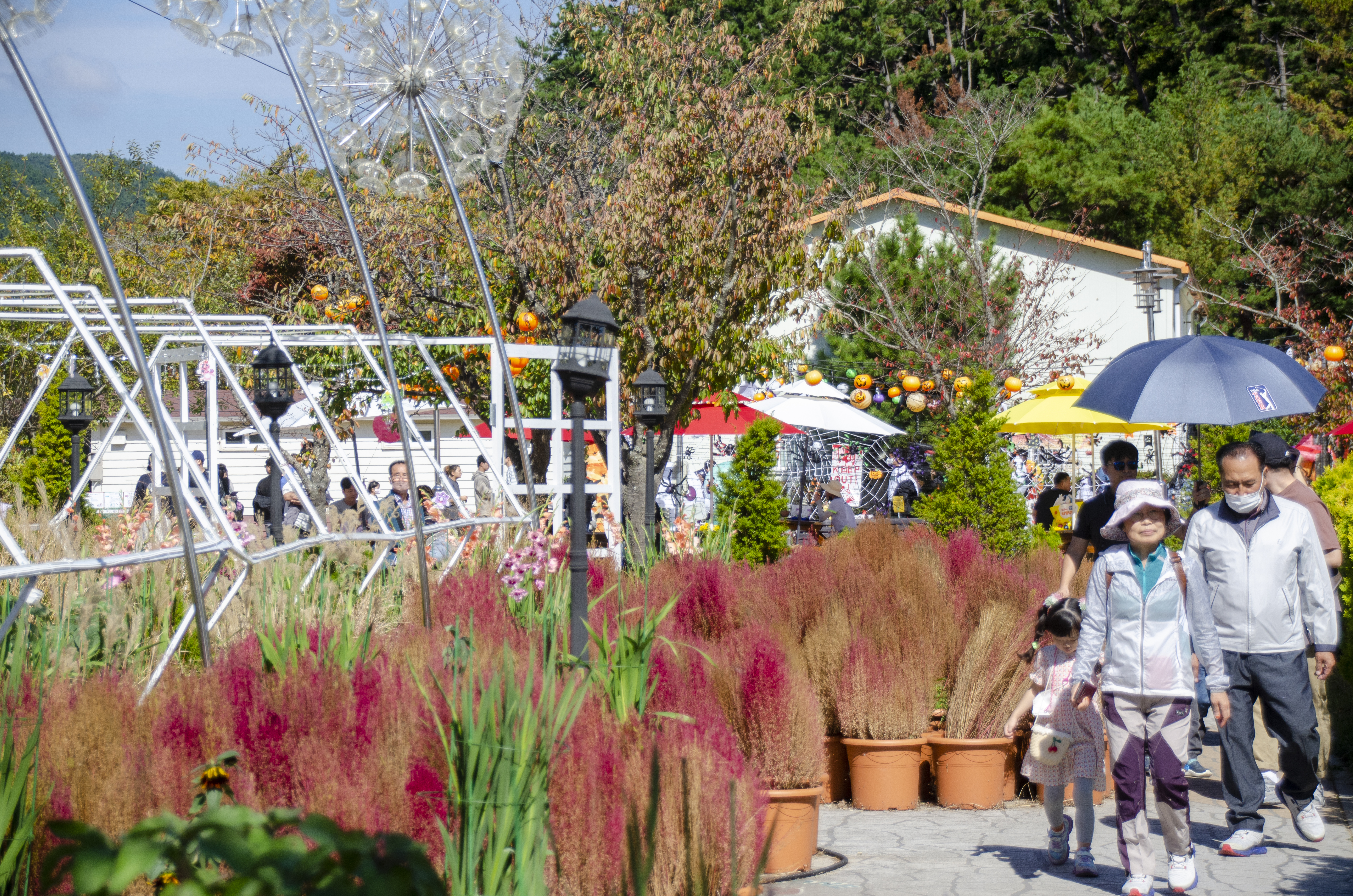 가을 축제 : 가을 여행