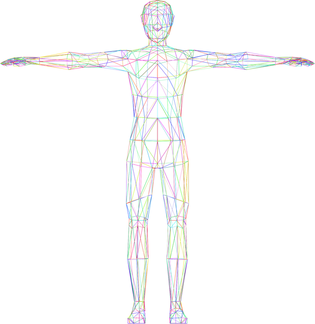 신체 관련 사진