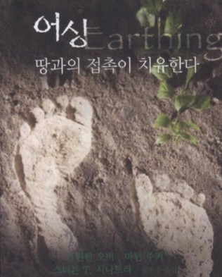 어싱 땅과의 접촉이 치유한다 책 표지