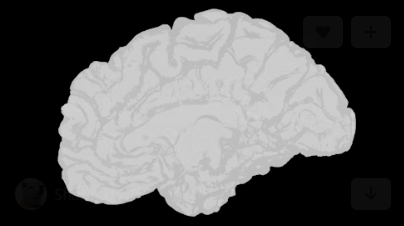 뇌를 표현한 그림