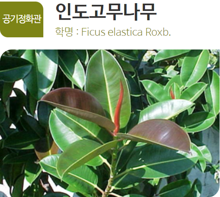 아산 생태곤충원