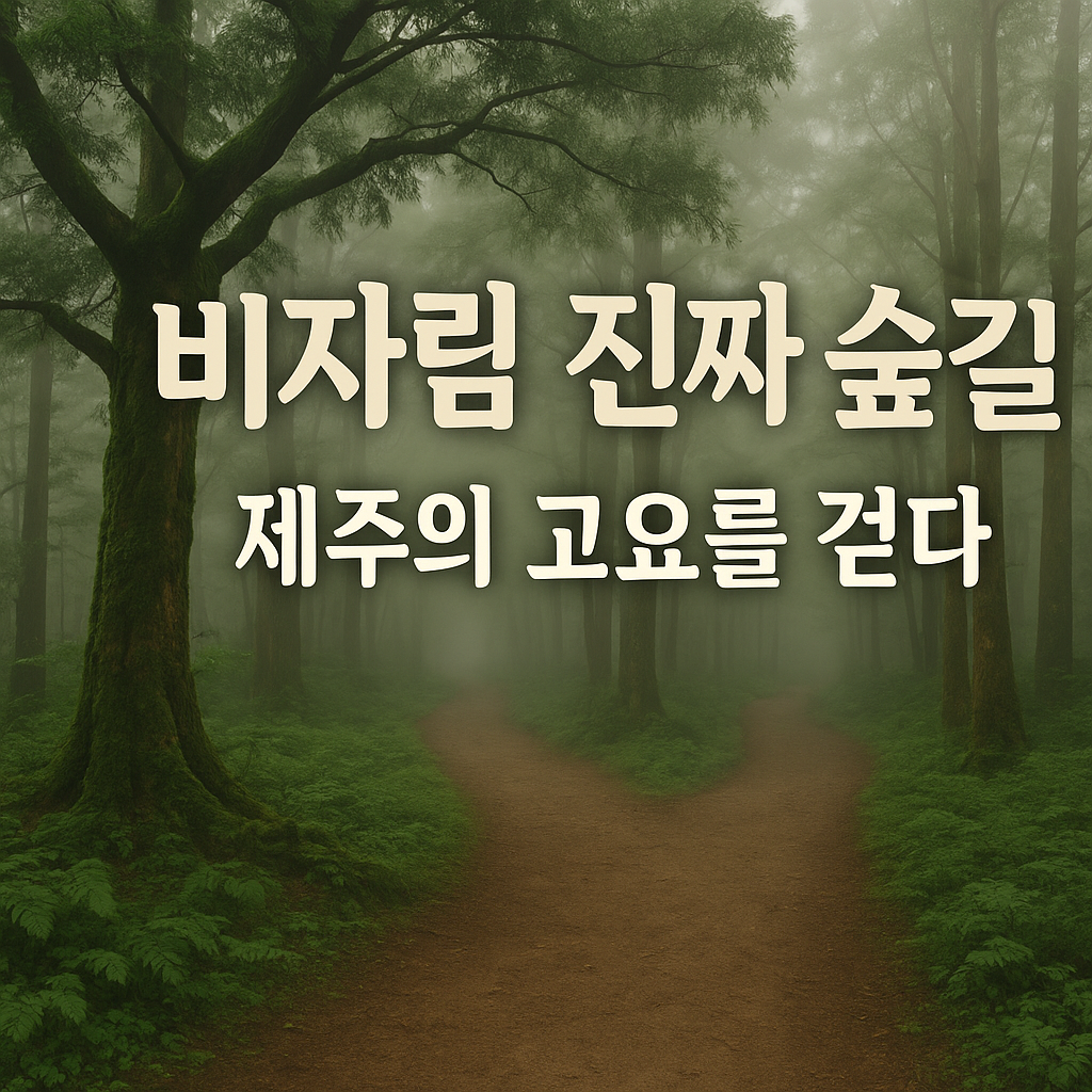 비자림 진짜 숲길