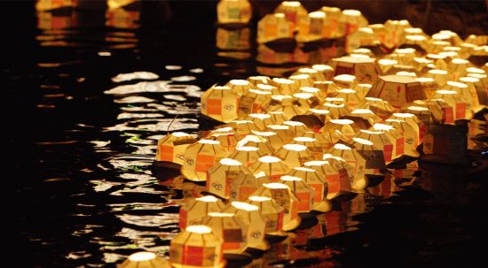 진주 남강 유등축제 2024 , 구경할거리, 먹거리, 주차 꿀팁 총정리