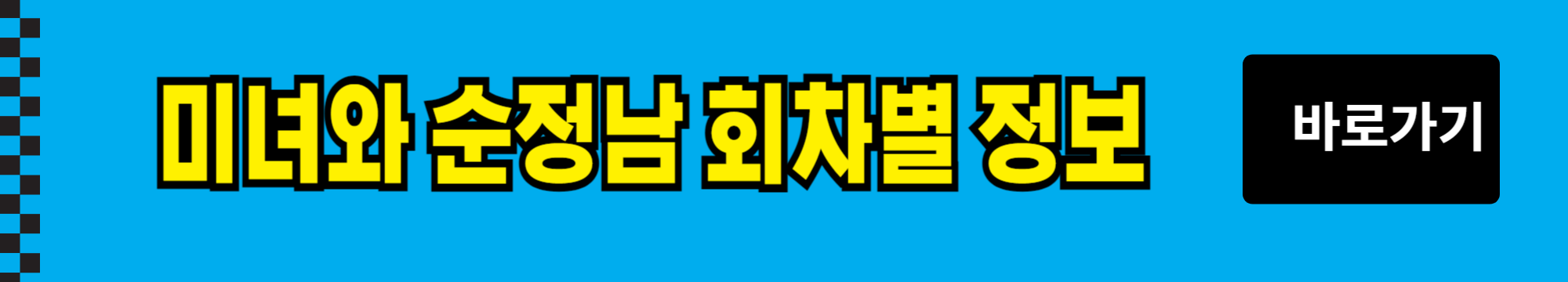 미녀와 순정남 등장 인물