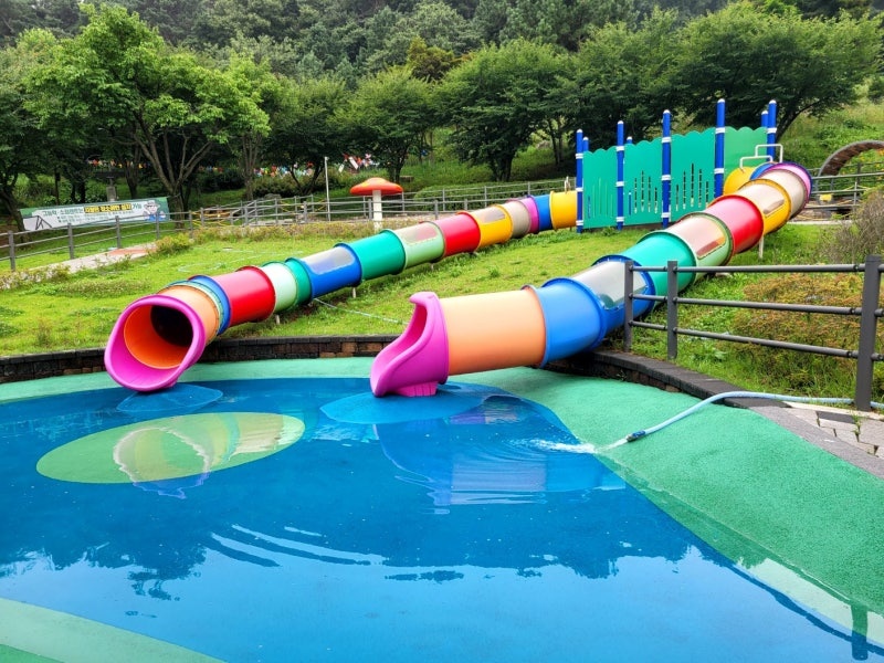 한강 수영장 개장 정보