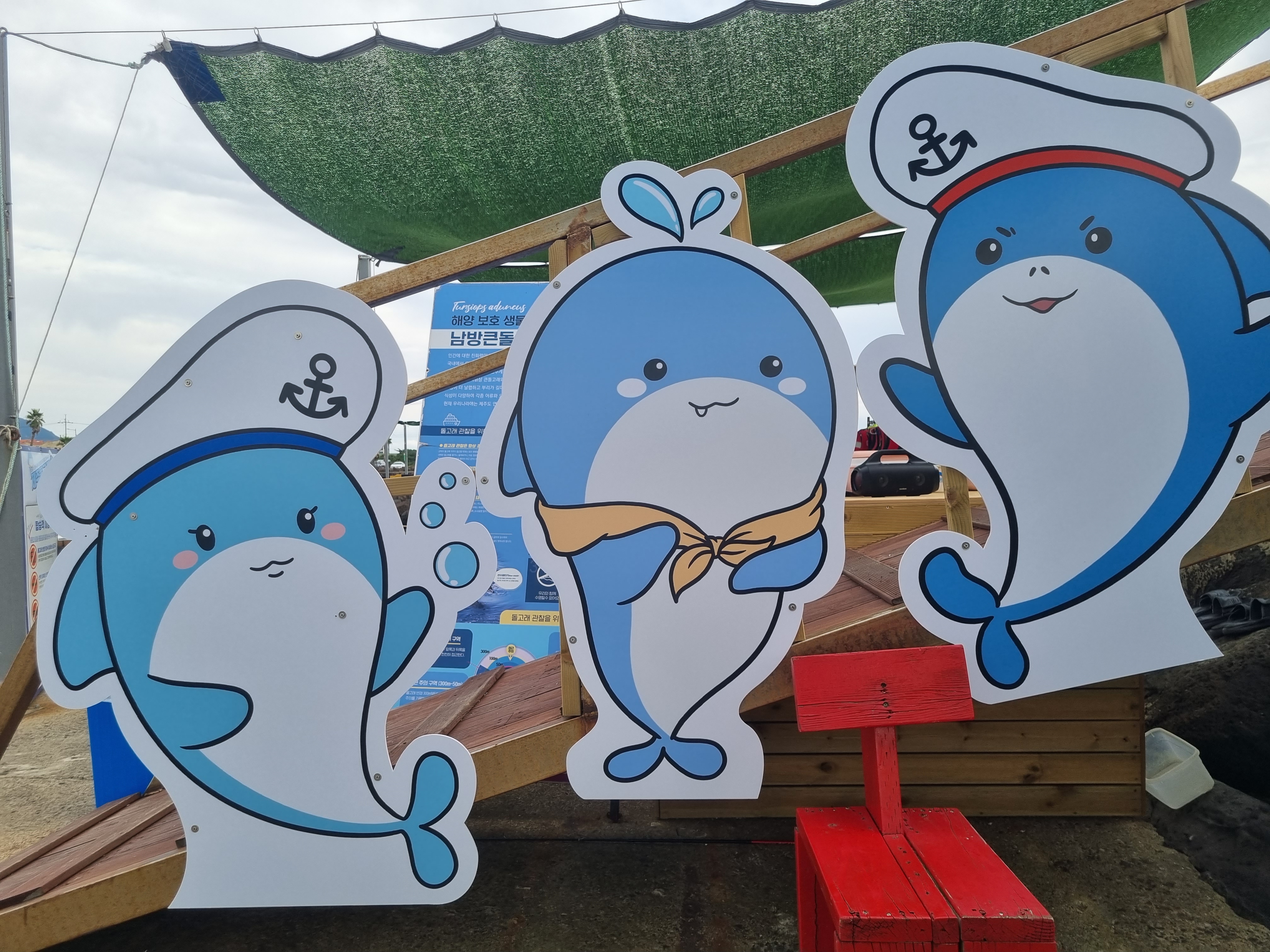 제주돌고래 힐링투어