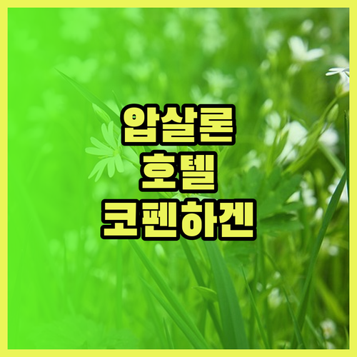압살론 호텔 코펜하겐에서의 잊을 수 