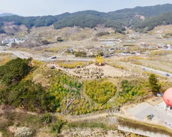 구례 산수유축제_7