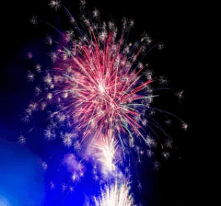 군포 철쭉 FESTIVAL