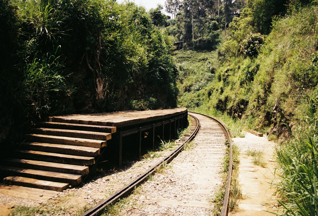 2025 화담숲 모노레일 예약, 실패 없이 즐기는 7가지 실전 비법 관련 이미지 2