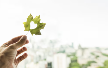 땀띠 가라앉히는 방법 29