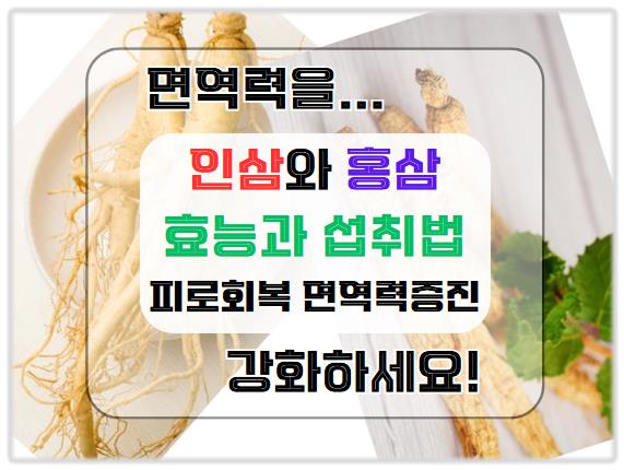 피로 회복과 면역력 증진의 비밀: 인삼과 홍삼의 효능과 섭취법