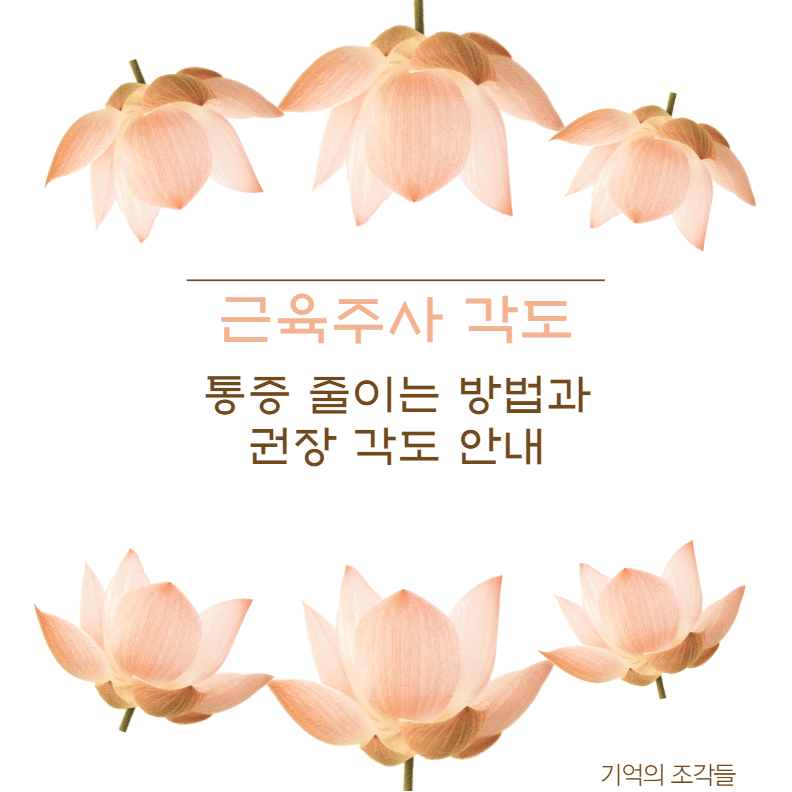 근육주사 각도 통증 줄이는 방법과 권장 각도 안내