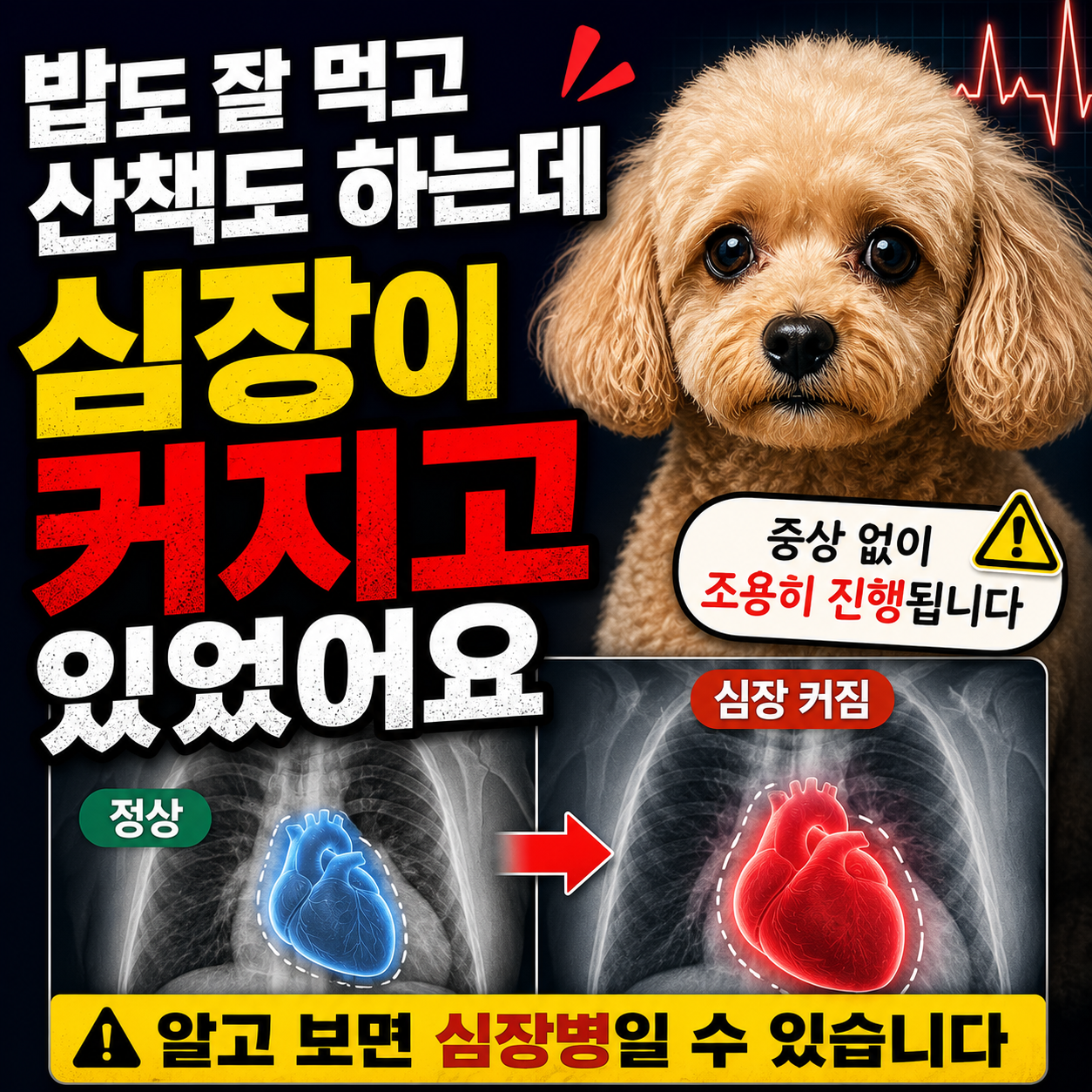 밥도 잘 먹고 산책도 하는데 심장이 커지고 있었어요