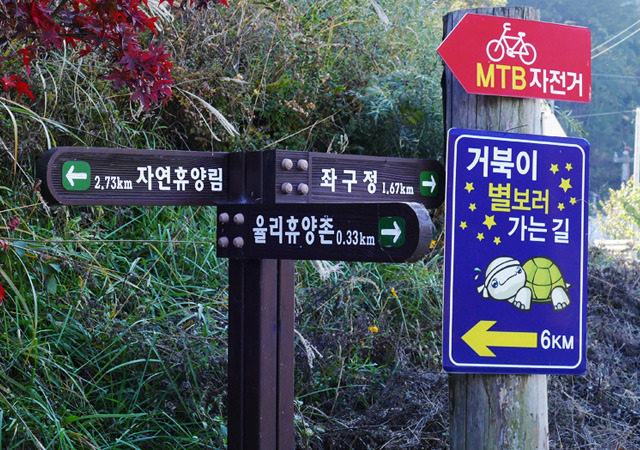 2025 증평인삼골축제&amp;#44;인삼 체험 축제