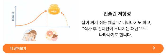 인슐린 저항성이란