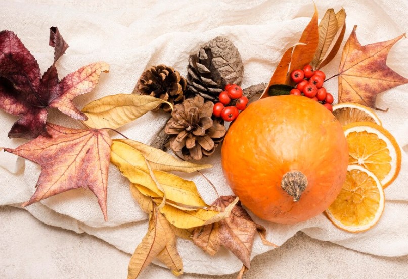 시나노 골드 사과