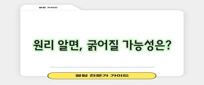 머리카락 굵어지는 과학적 팁 정말 효과 있을까요?