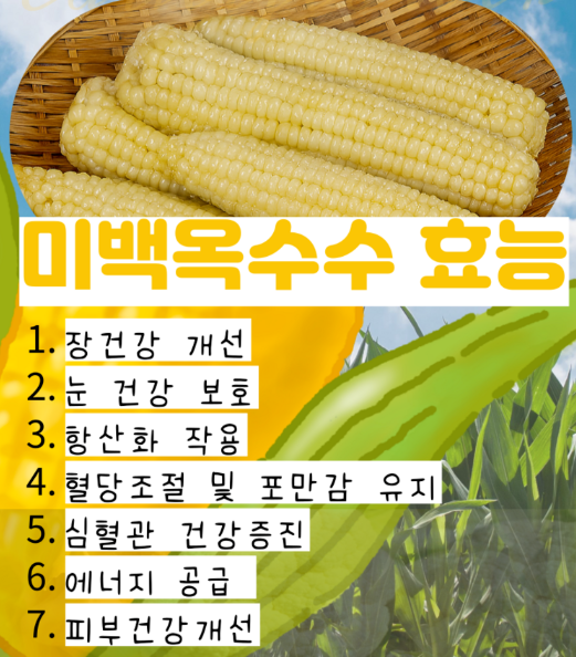 옥수수의 효능