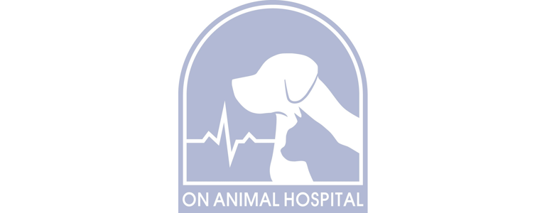 양주시 동물병원