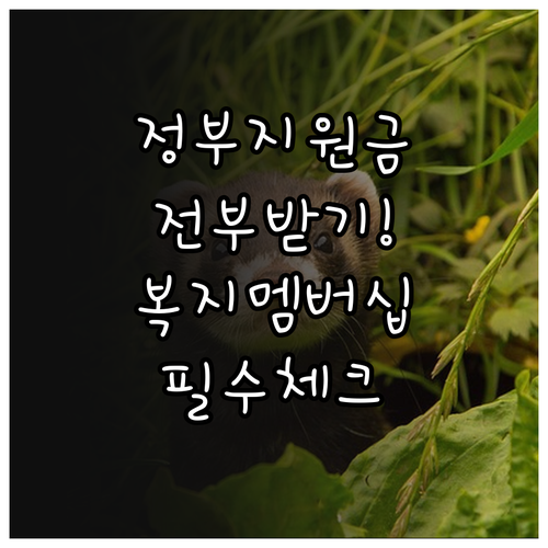 정부 지원금 놓치지 않는 법 복지멤버..