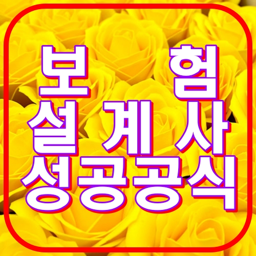 보험설계사성공공식