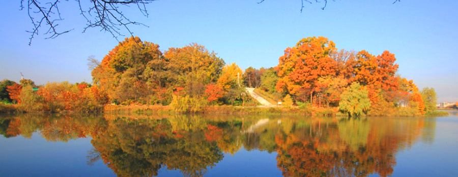 충북 충주 호암저수지 단풍