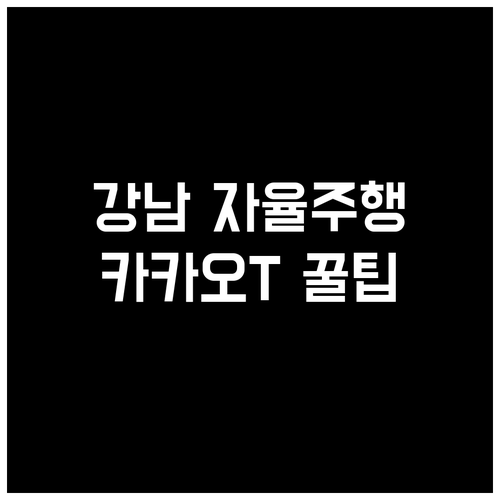 강남구 서초구 자율주행 택시 운행 시..