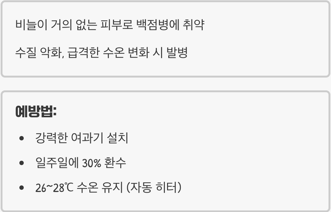 '백점병'이라는 숙명을 피하는 법