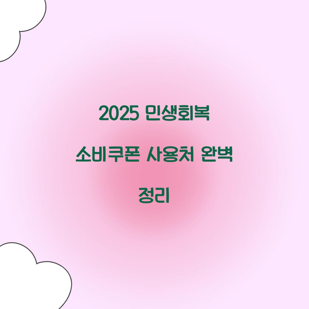 2025 민생회복 소비쿠폰 사용처