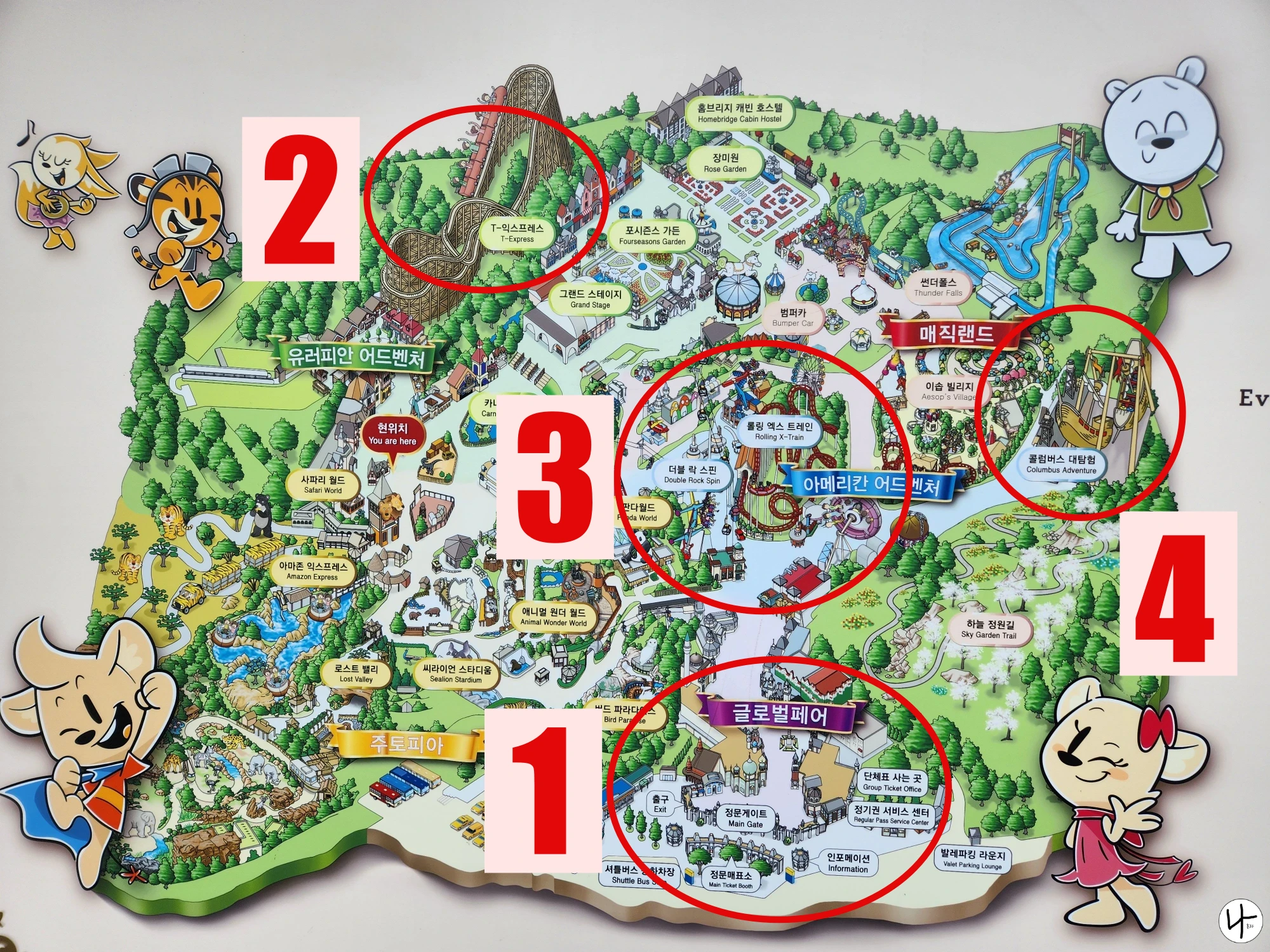 에버랜드-전체가-보이는-지도