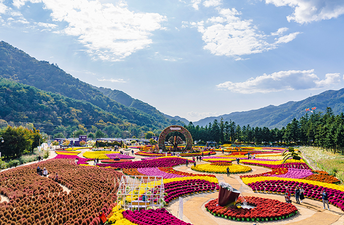인제가을꽃축제
