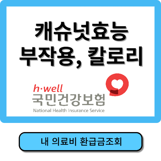 캐슈넛 효능