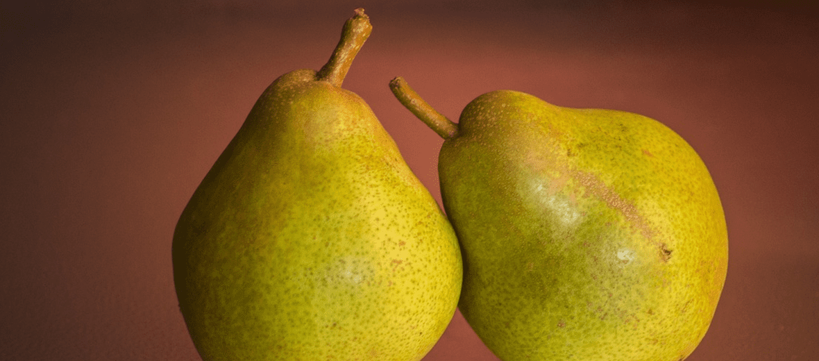 과일 배 사진 - 221