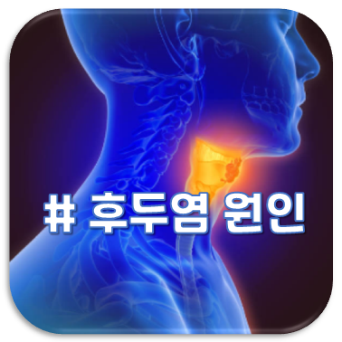후두염-원인