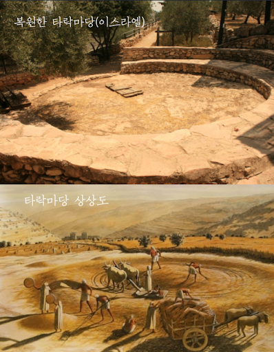 이스라엘 타작마당 사진