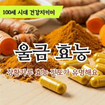 울금 관절 연고 관절통 완화 항염 작용 효능_18