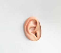 이명 치료 방법 증상 원인